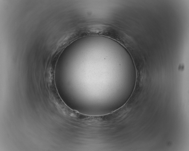 X0000113561394200910021543