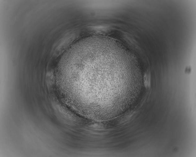 X0000113561395200910021543