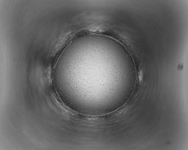 X0000113561396200910021543
