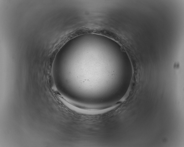 X0000113561397200910021543