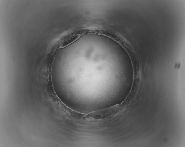X0000113561398200910021543