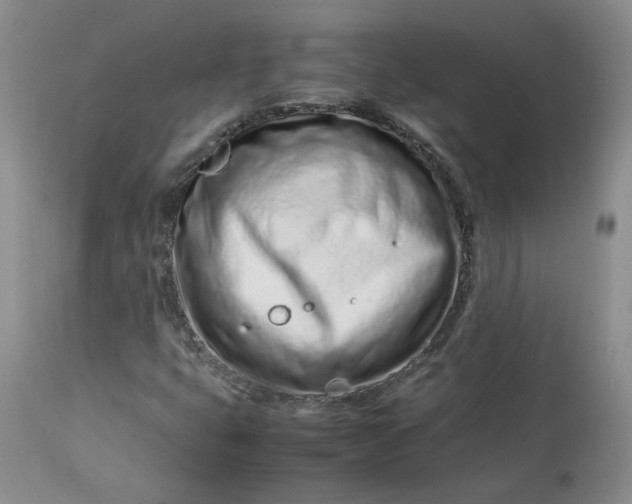 X0000113561399200910021543