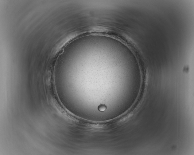 X0000113561401200910021543