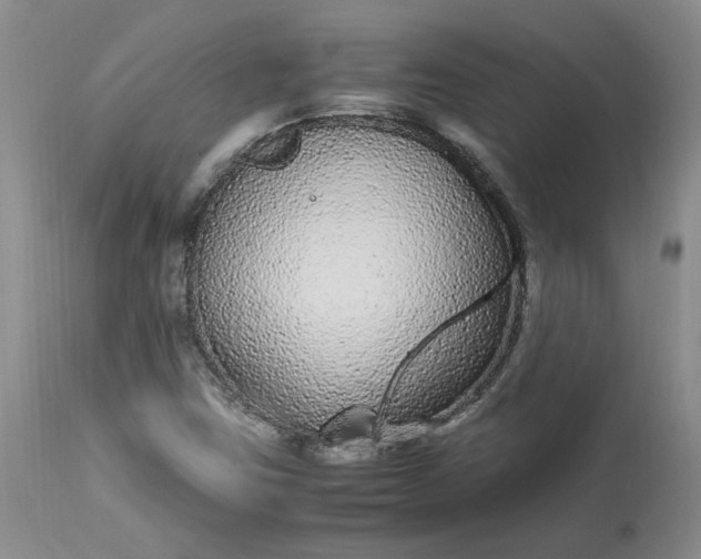 X0000113561403200910021543