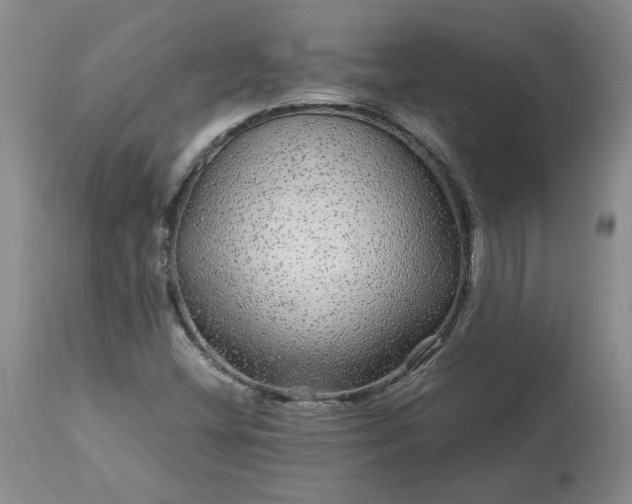 X0000113561404200910021543