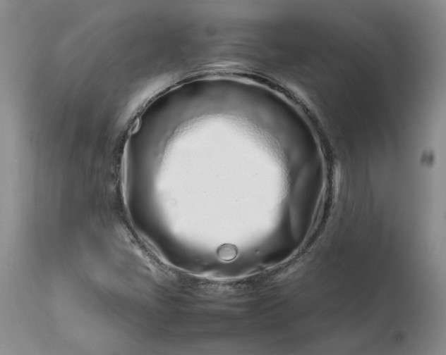 X0000113561405200910021543