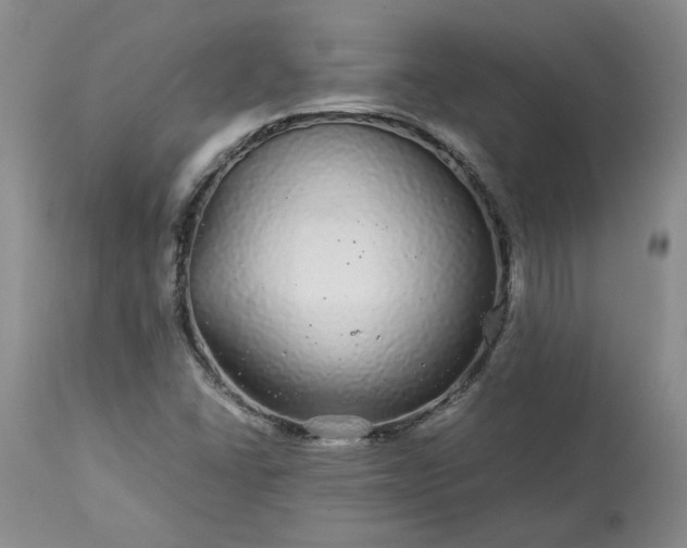 X0000113561406200910021543