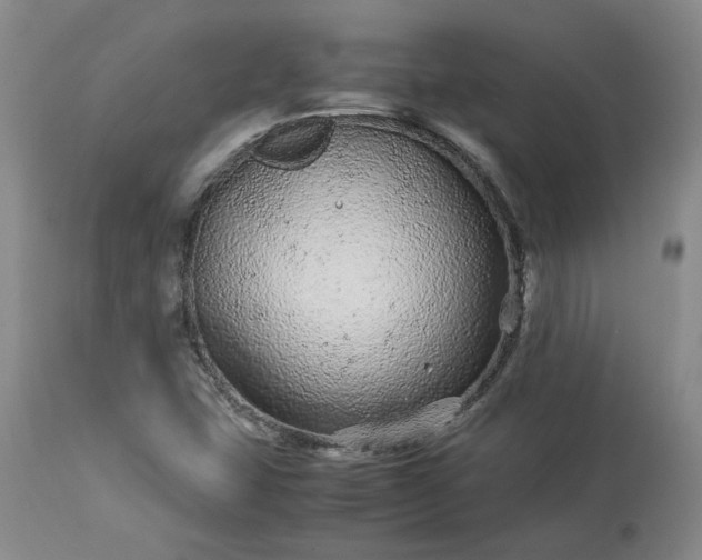 X0000113561407200910021543