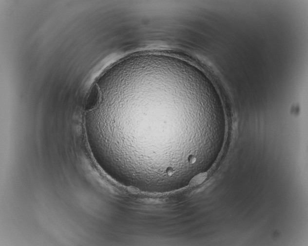 X0000113561409200910021543