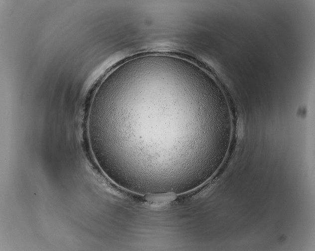 X0000113561410200910021543