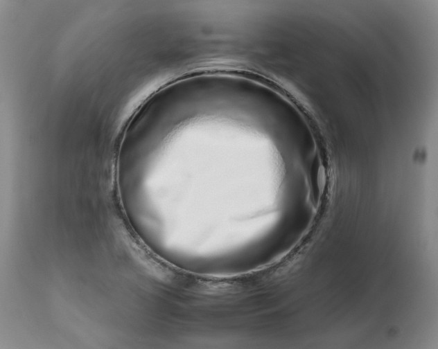 X0000113561413200910021543