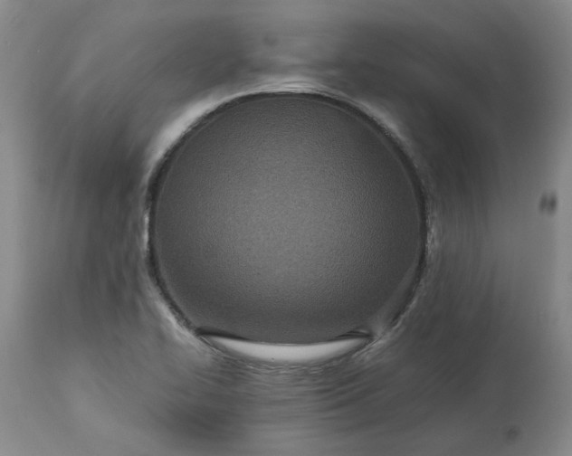 X0000113561414200910021543