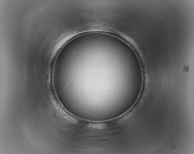 X0000113561415200910021543