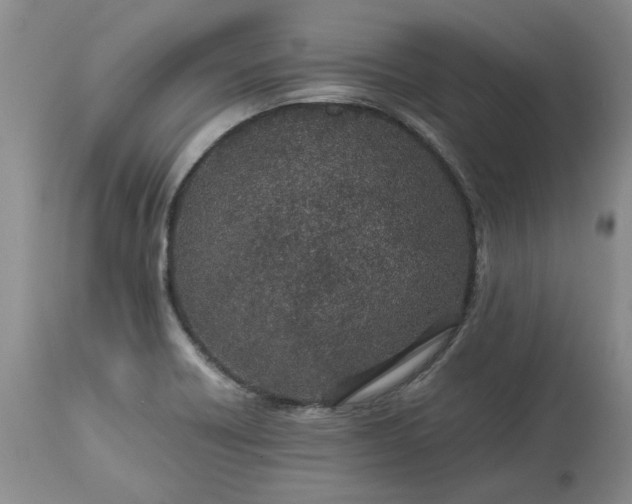 X0000113561418200910021543