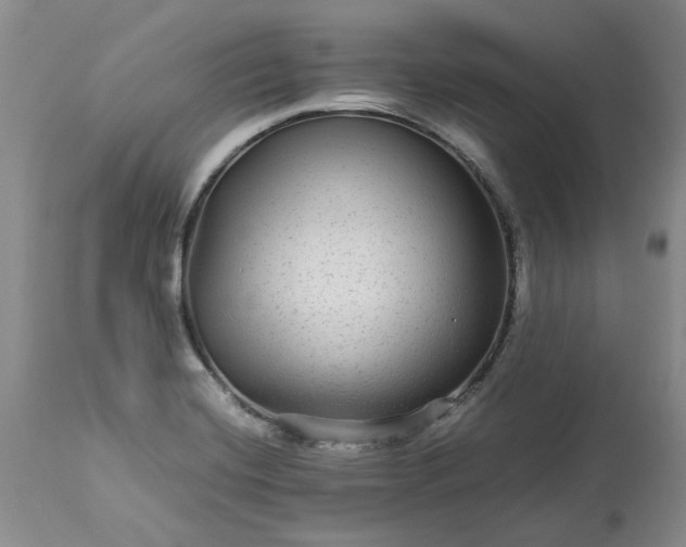 X0000113561420200910021544