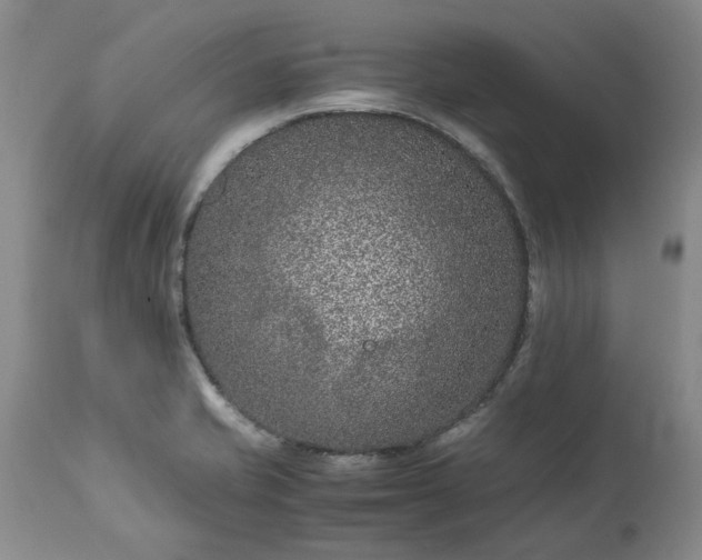 X0000113561421200910021544
