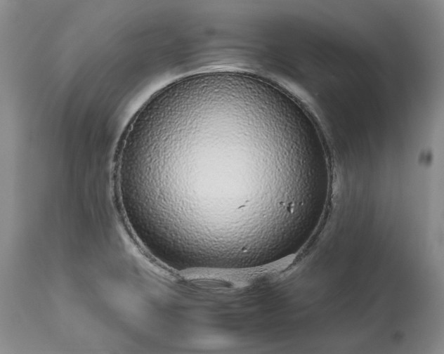 X0000113561423200910021544