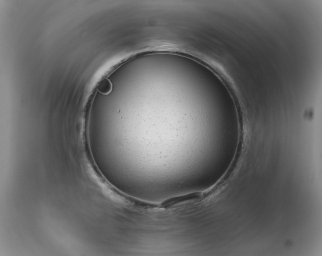 X0000113561424200910021544