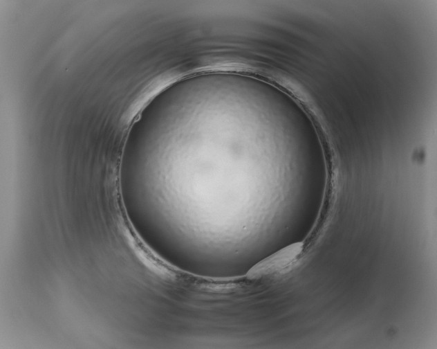 X0000113561425200910021544