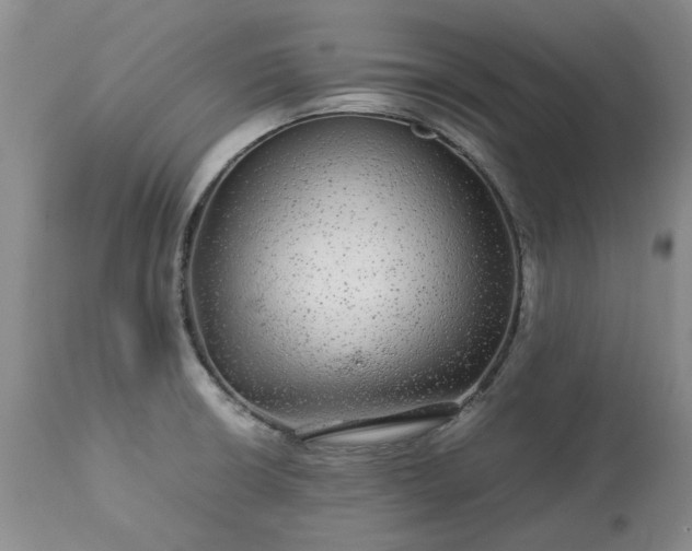 X0000113561426200910021544