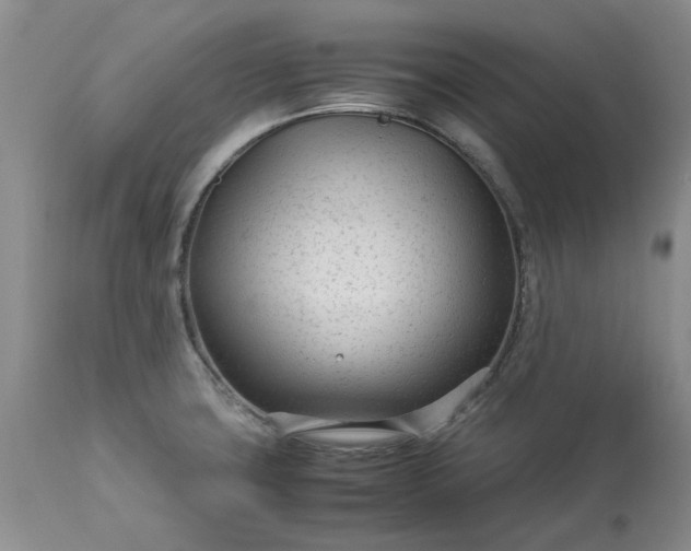 X0000113561427200910021544