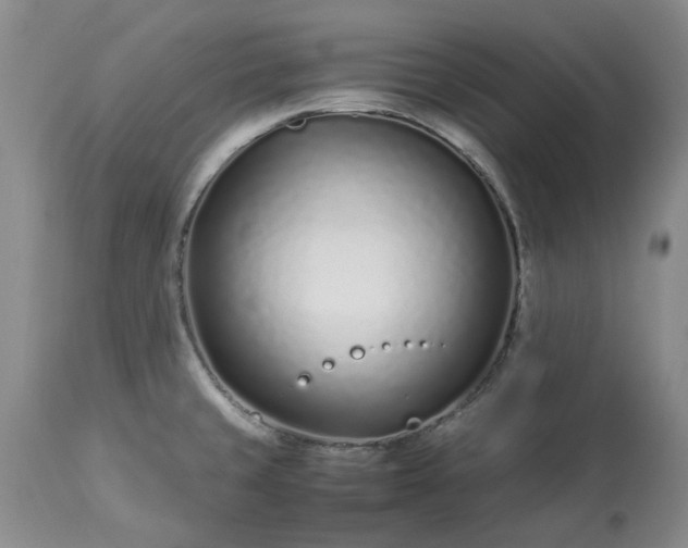 X0000113561429200910021544