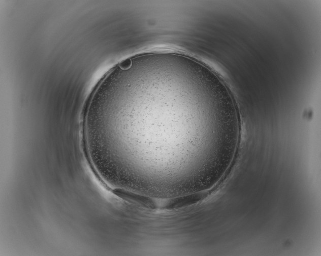 X0000113561430200910021544