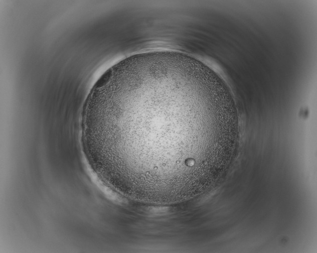 X0000113561431200910021544