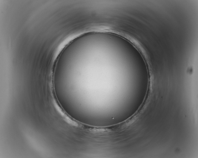 X0000113561432200910021544