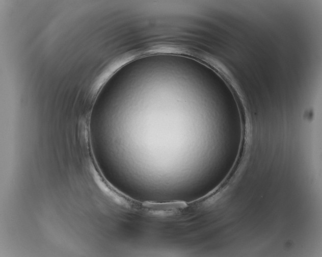 X0000113561433200910021544