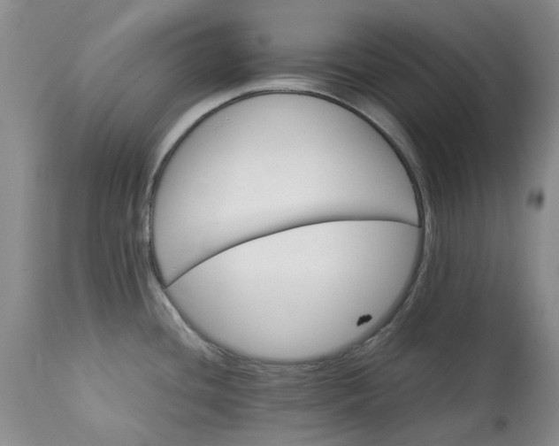 X0000113561436200910021544