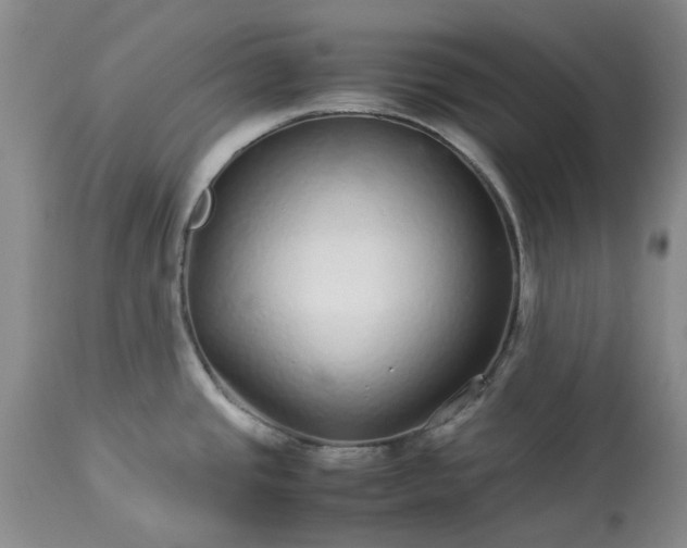 X0000113561437200910021544