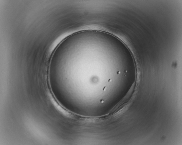 X0000113561438200910021544