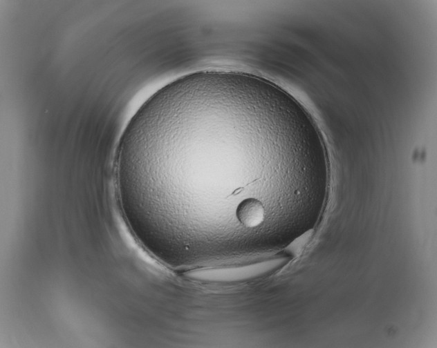 X0000113561440200910021544