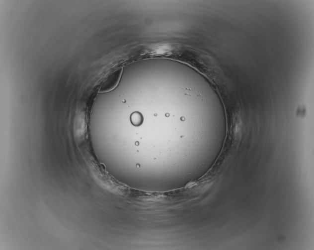 X0000113561442200910021543
