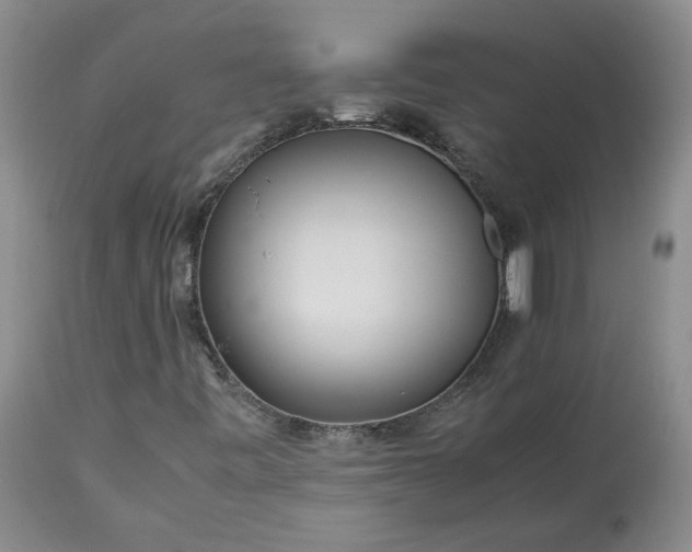 X0000113561443200910021543