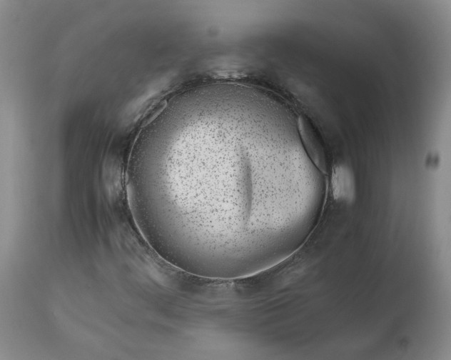 X0000113561444200910021543