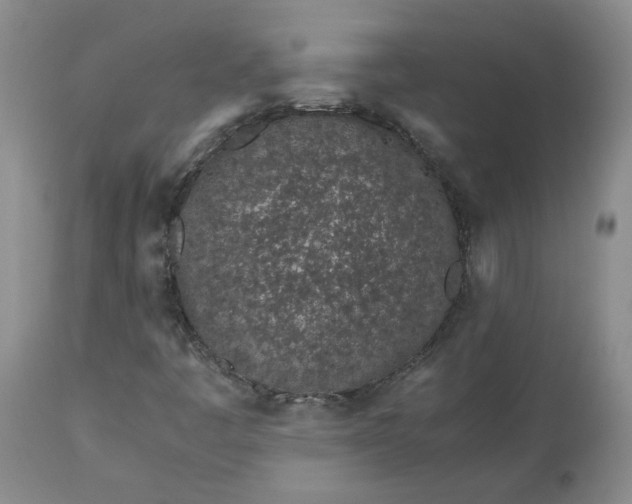 X0000113561445200910021543