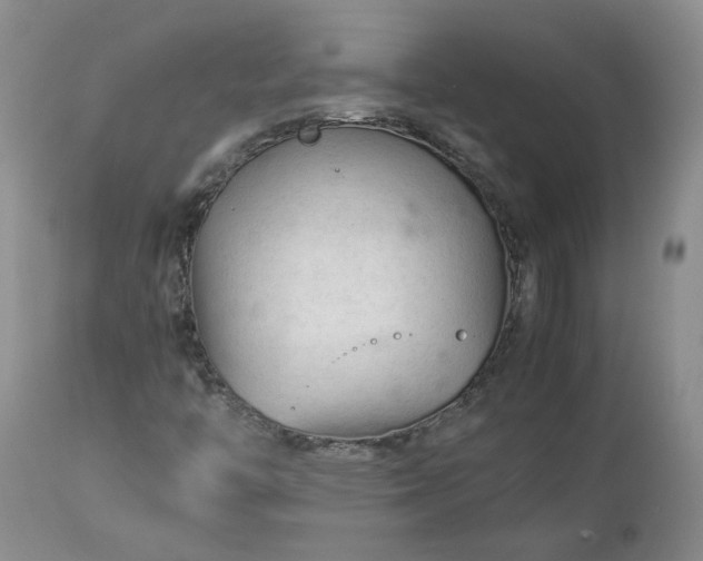 X0000113561446200910021543