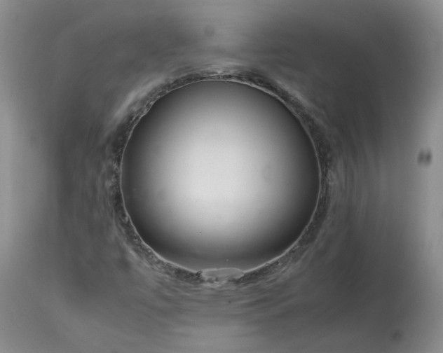 X0000113561447200910021543