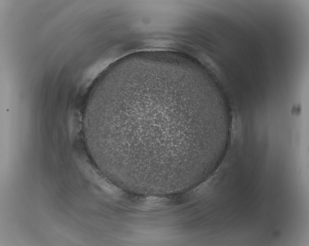 X0000113561449200910021543