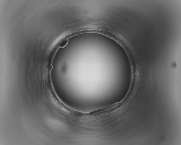 X0000113561450200910021543