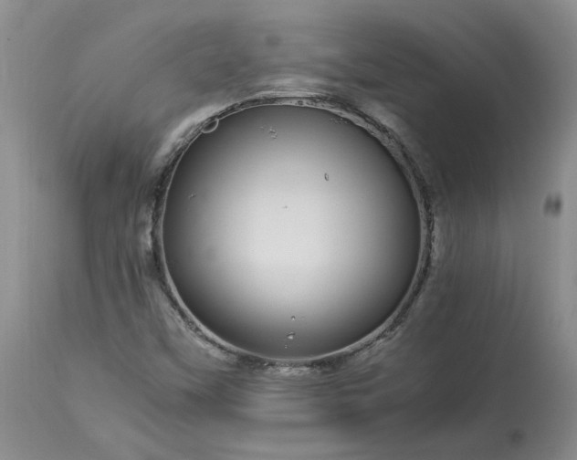 X0000113561451200910021543