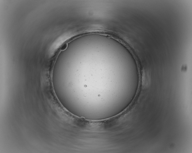 X0000113561453200910021543
