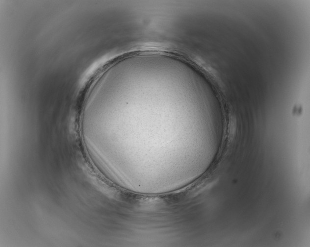 X0000113561454200910021543