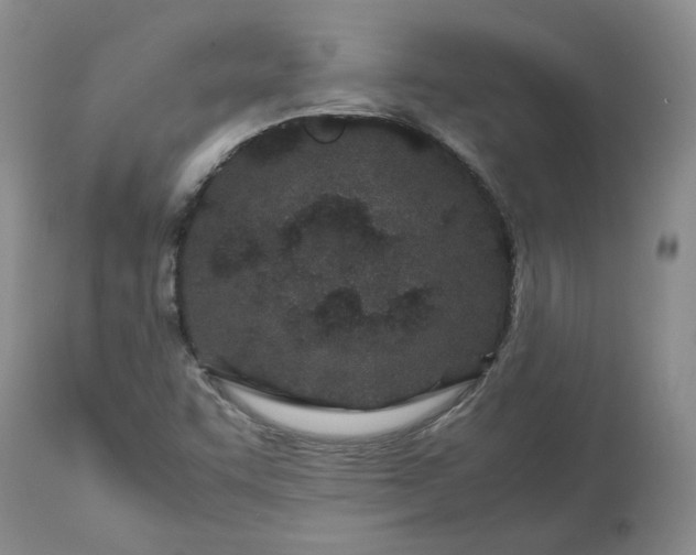 X0000113561455200910021543