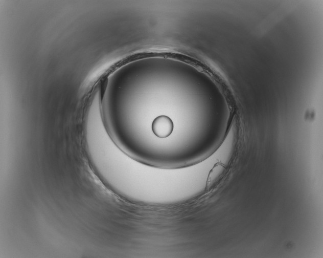 X0000113561456200910021543