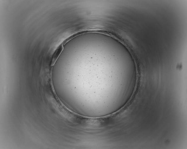 X0000113561457200910021543