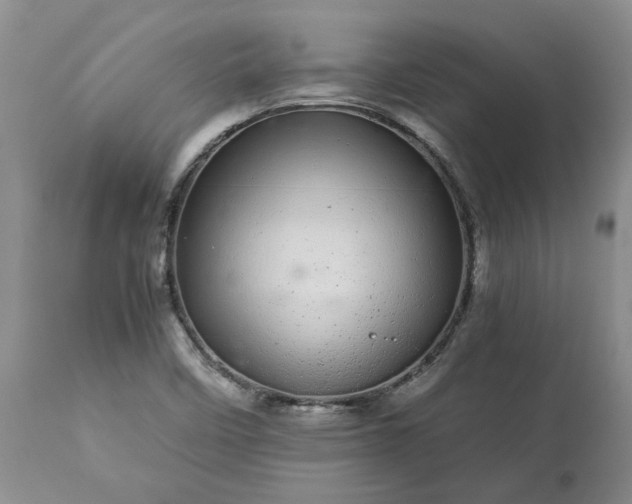 X0000113561458200910021543