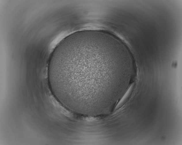 X0000113561459200910021543